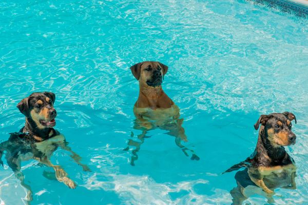 NordTech Aufstellpool 2026