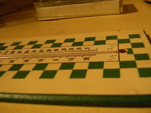 Brava Fieberthermometer Set