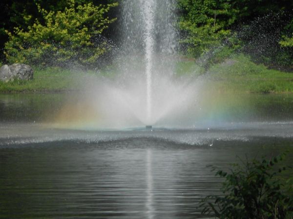 Brava Trinkbrunnen Set